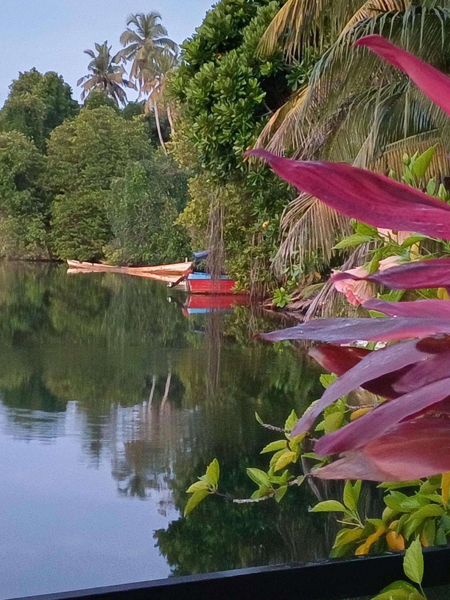 Villa River View Aluthgama Exterior photo
